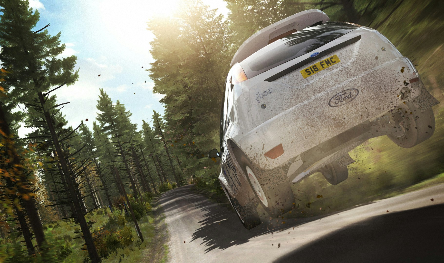 DiRT Rally gallery image