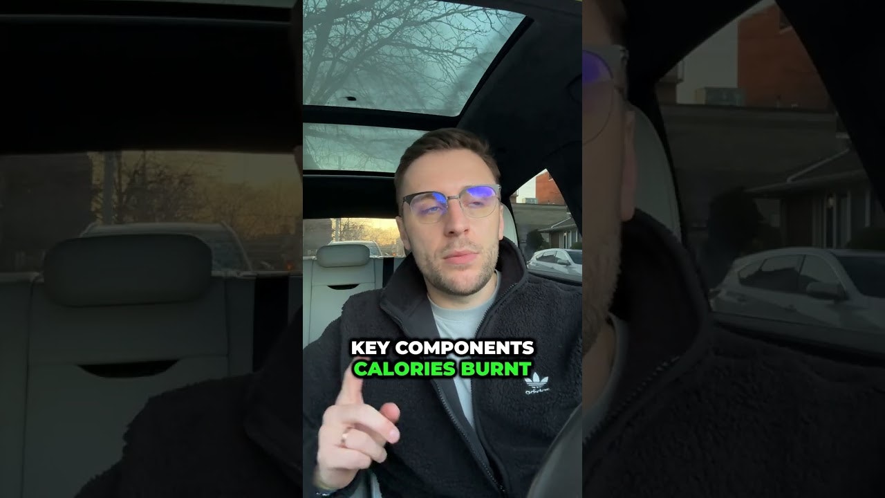 CaloNet gallery image