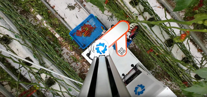 AI-based tomato-harvesting robot screenshot 5