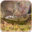 Photo Overlay Blender-Editor