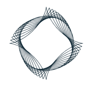 MySkillFolio logo
