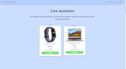 BidInfinity gallery image