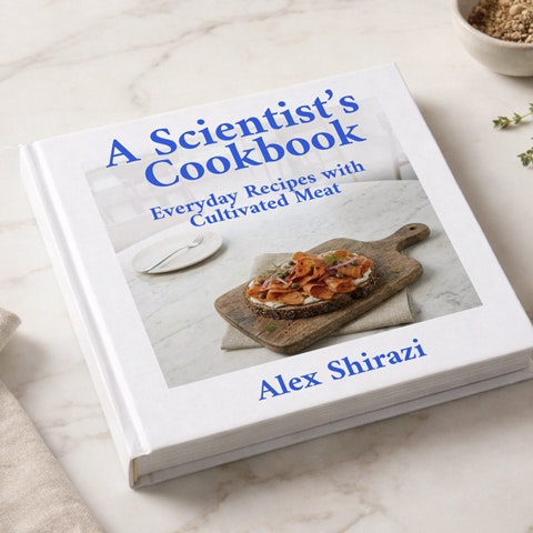 A Scientist's Cookbook - Product Hunt launch logo and brand identity