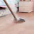 Carpet Cleaning