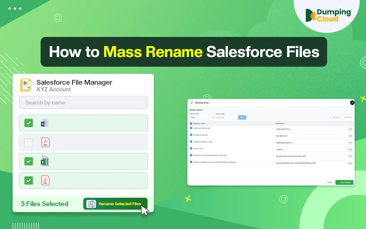 Dumping Cloud - Salesforce File Manager screenshot