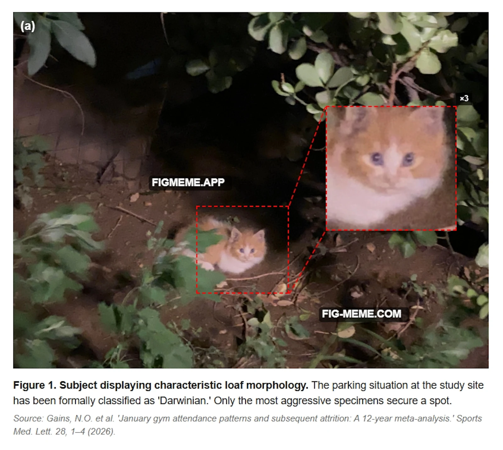 Fig.meme screenshot 2