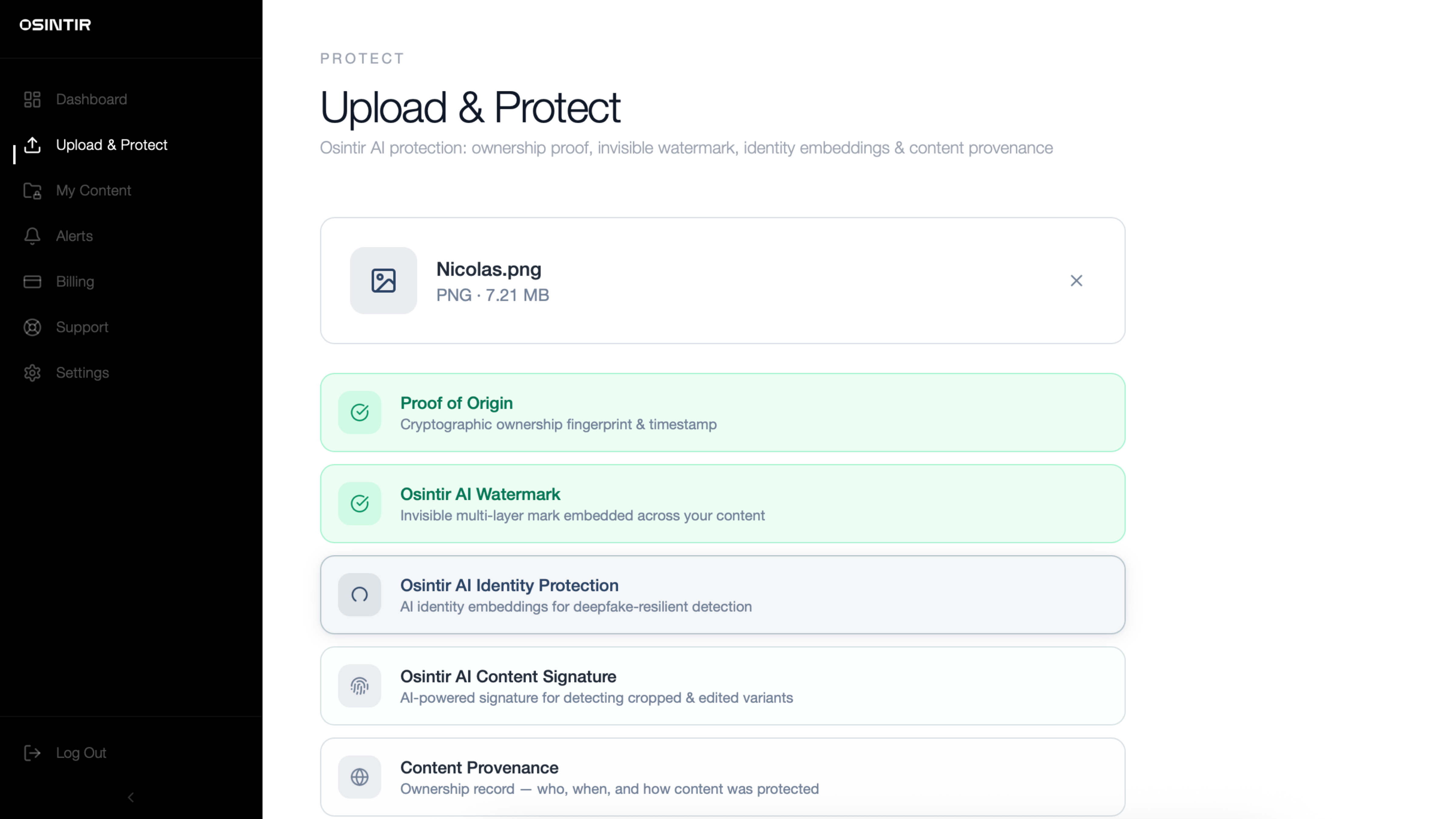 Osintir gallery image