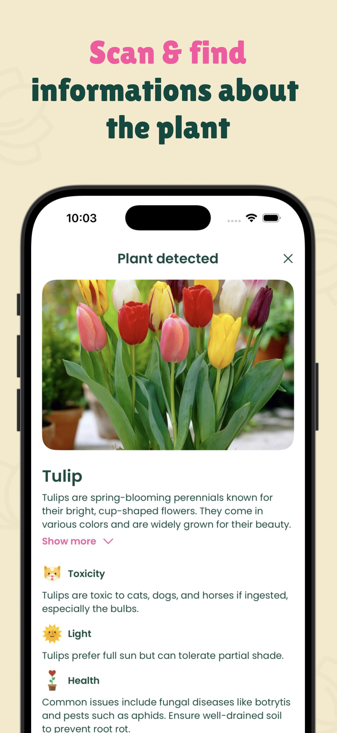 Leaffy - Plant Identifier gallery image