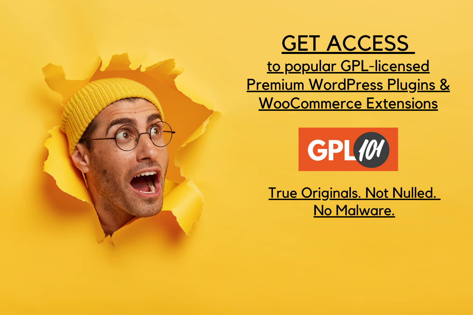  Premium WordPress Plugins