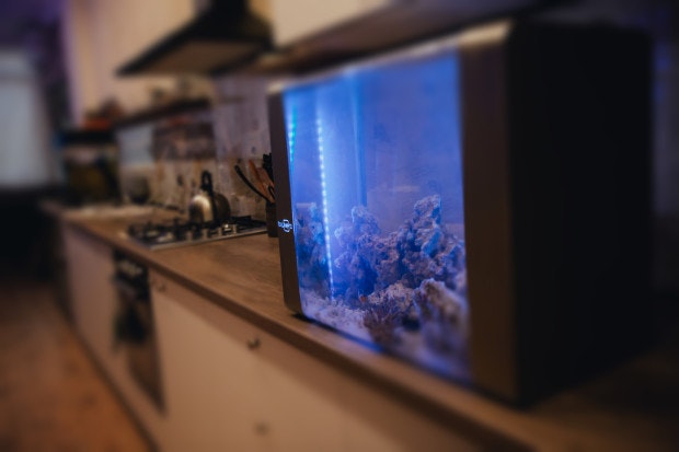 Bluenero gallery image