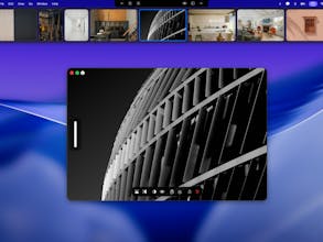 Zenboard gallery image