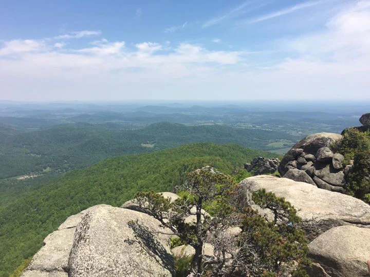 Stephanie Ludwig cover