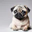 pugin.ai