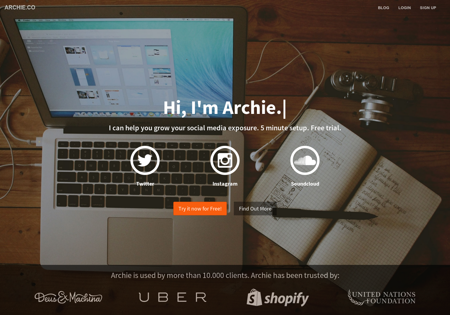 Archie gallery image