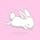 Honey Bunny iMessage Stickers