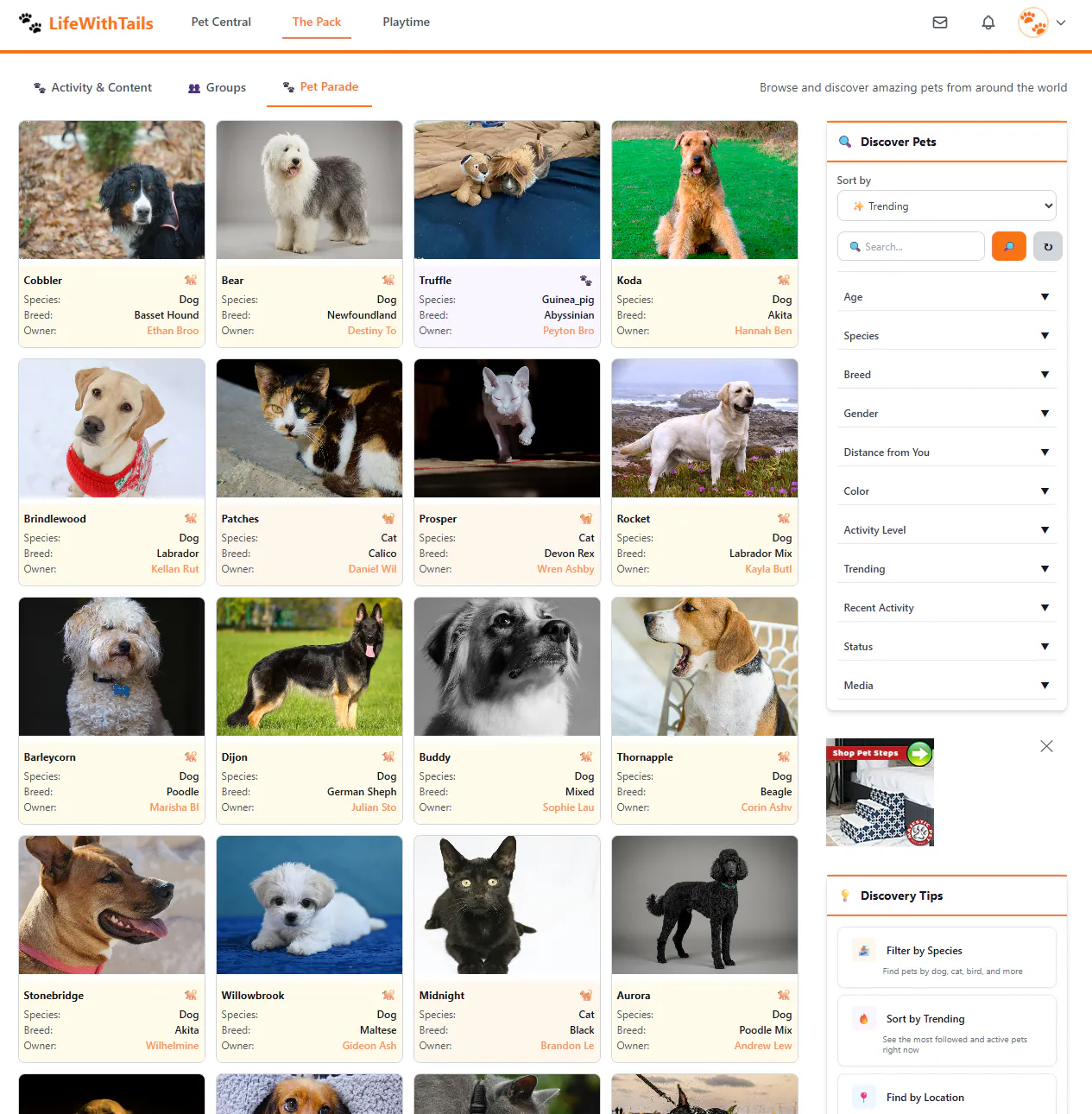 LifeWithTails gallery image