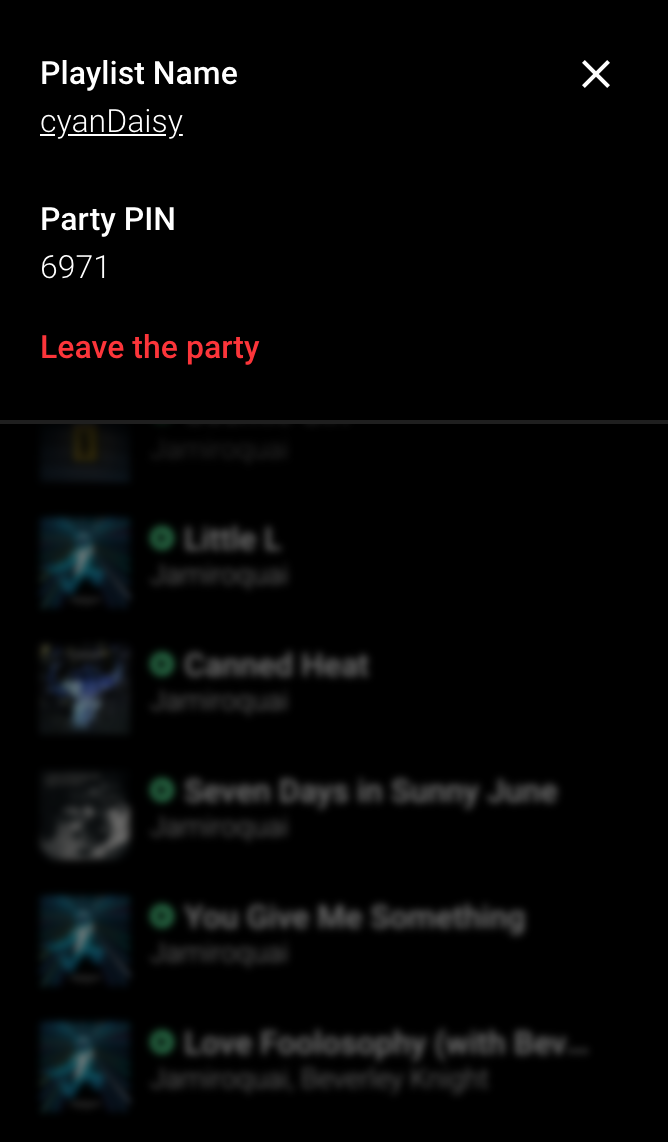 PlayVi gallery image