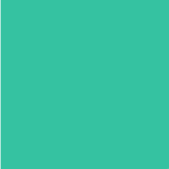 VGS Collect.js logo