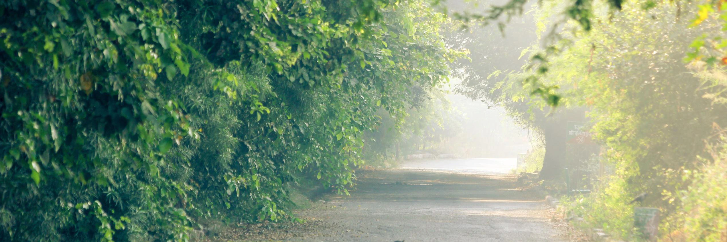 Avinash Hindupur cover