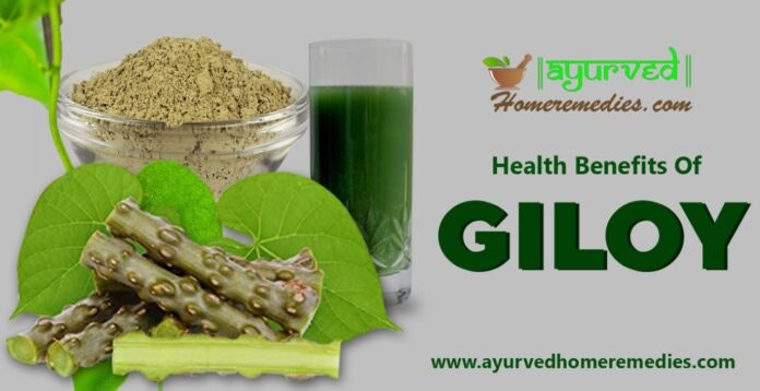 Giloy Health Benefits gallery image