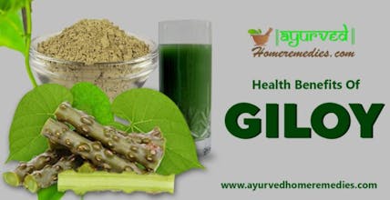 Giloy Health Benefits gallery image