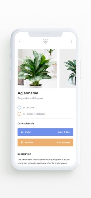 Planter gallery image