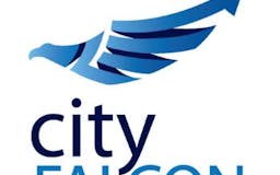 Cityfalcon media 3