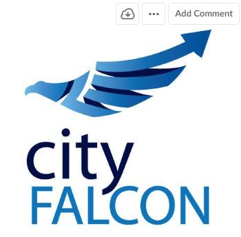 Cityfalcon media 3