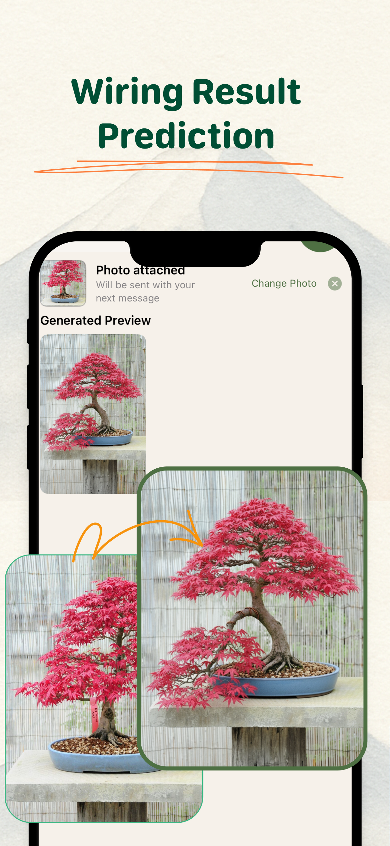 Bonsai Buddy gallery image