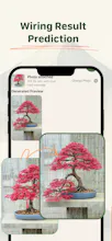 Bonsai Buddy gallery image