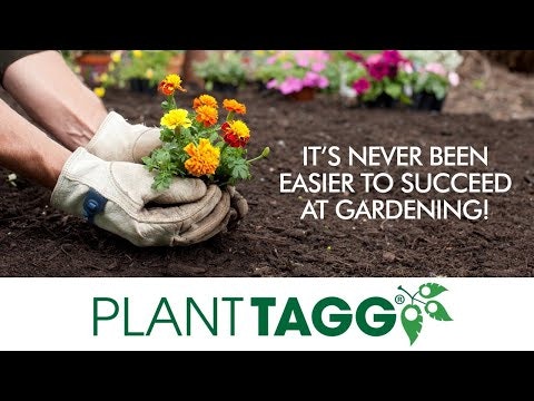 PlantTAGG gallery image
