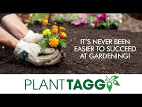 PlantTAGG gallery image
