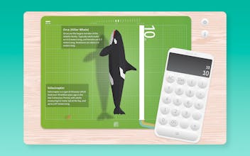 A Wonder Calculator by SeedCalc gallery image