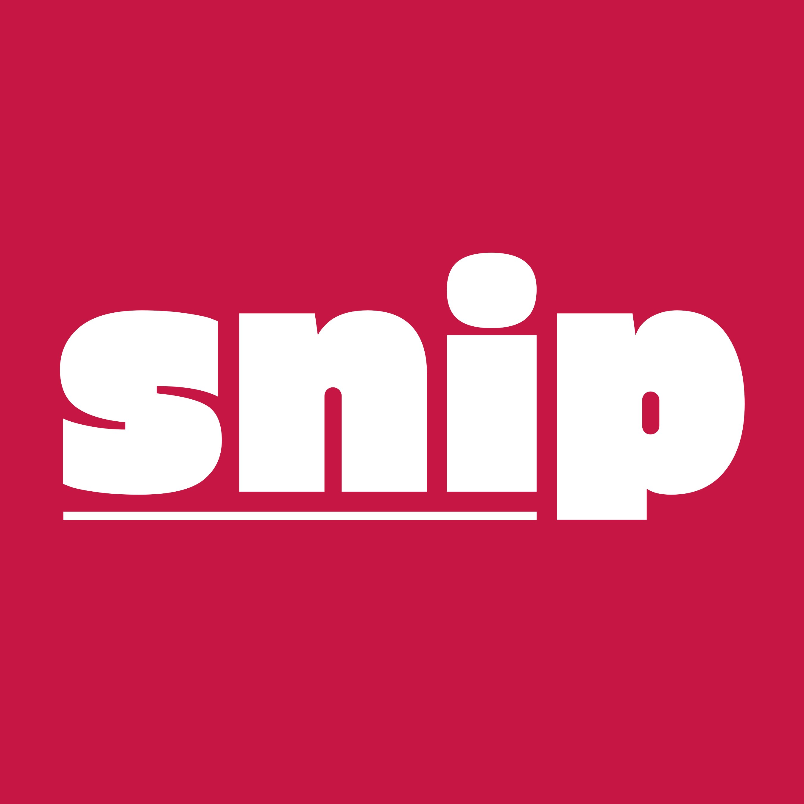 SNIP: Structured Data WordPress Plugin