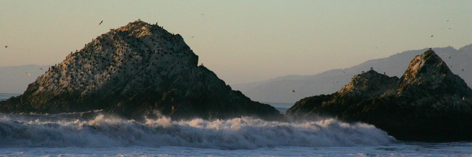 Dylan Scandalios cover