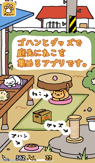 Cat Gathered gallery image