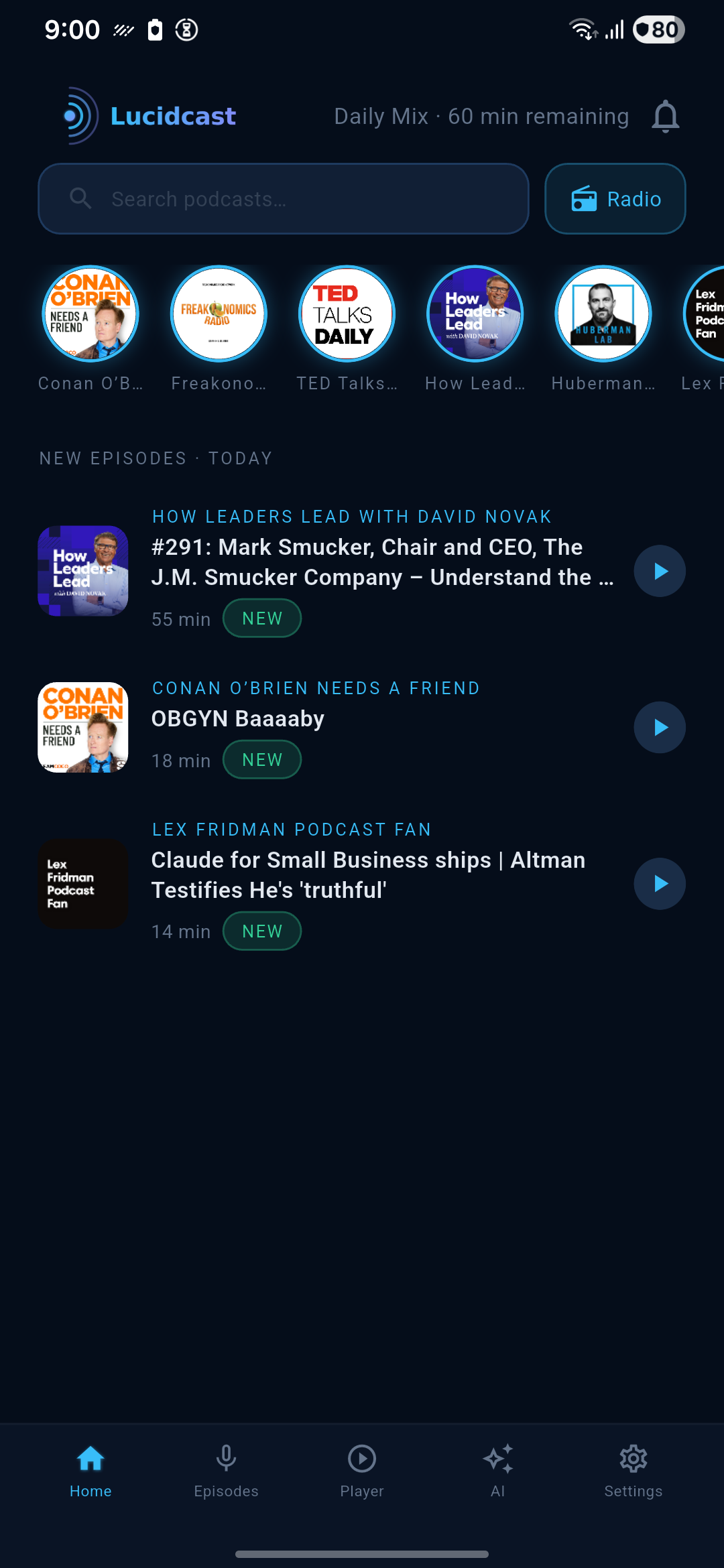 Lucidcast gallery image