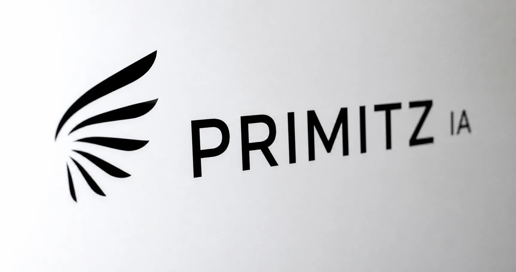 PRIMITZ IA gallery image