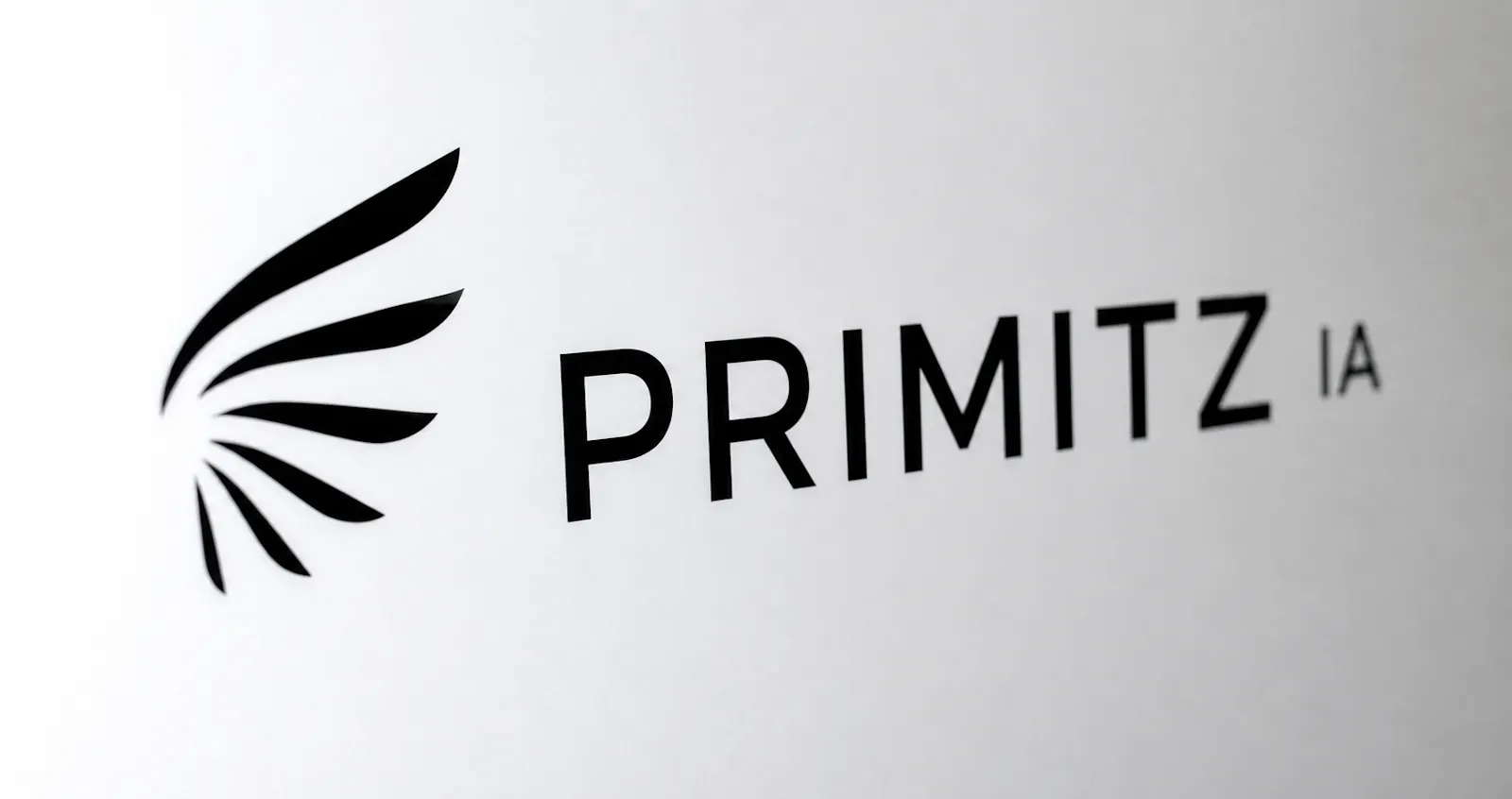 PRIMITZ IA screenshot 1