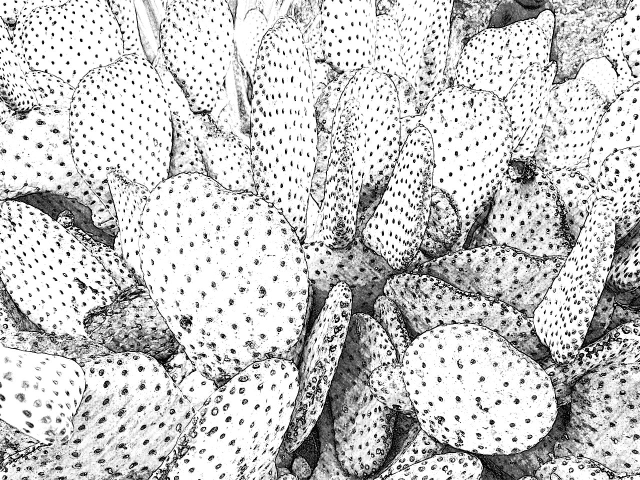 Essential Elements gallery image