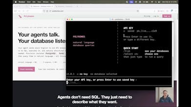 Polykomos gallery image