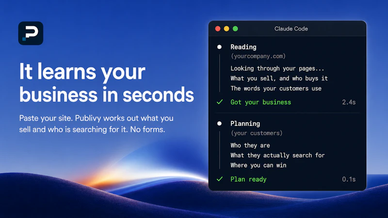 Publivy screenshot 2