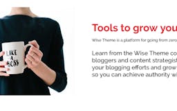 Wise Theme for WordPress media 2