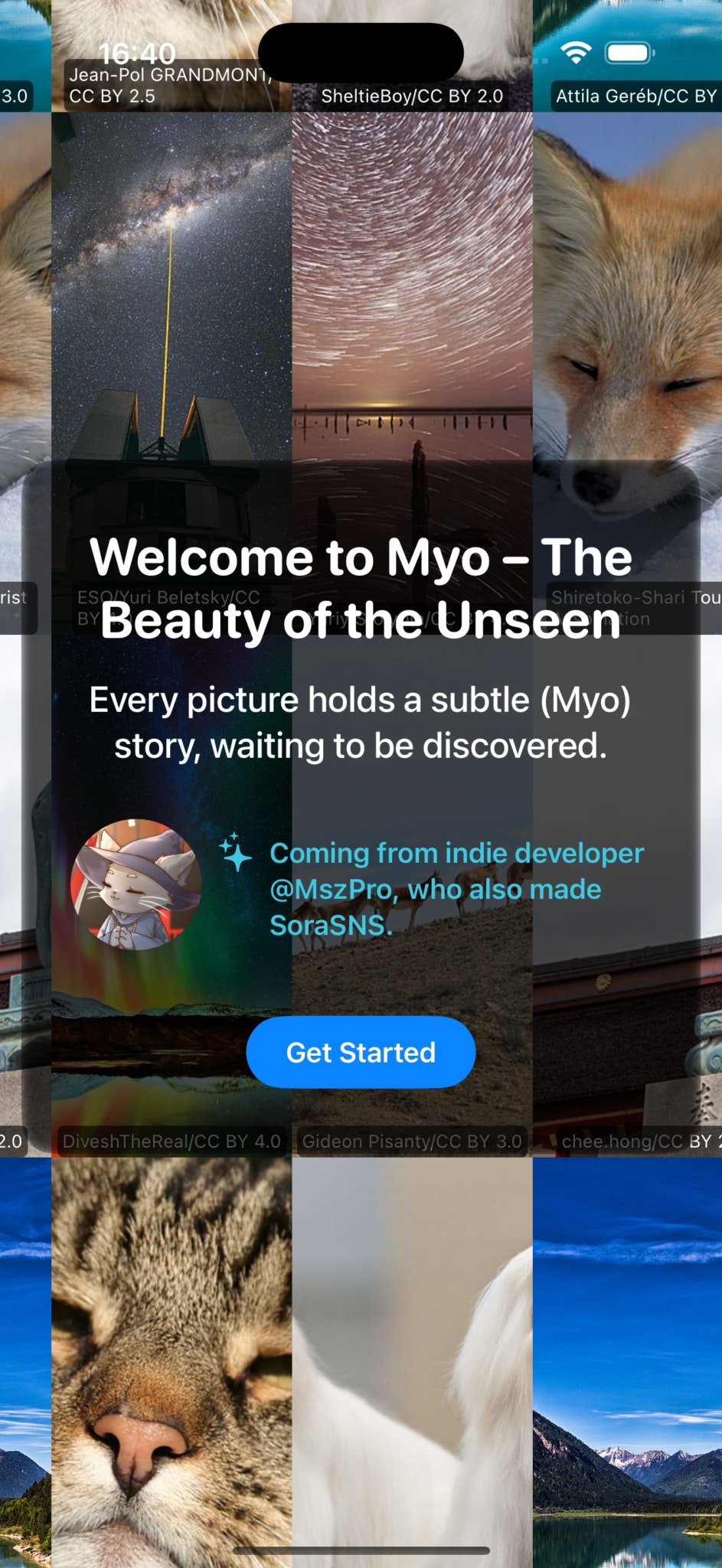 Myo for Mastodon, Misskey, Bluesky media 4