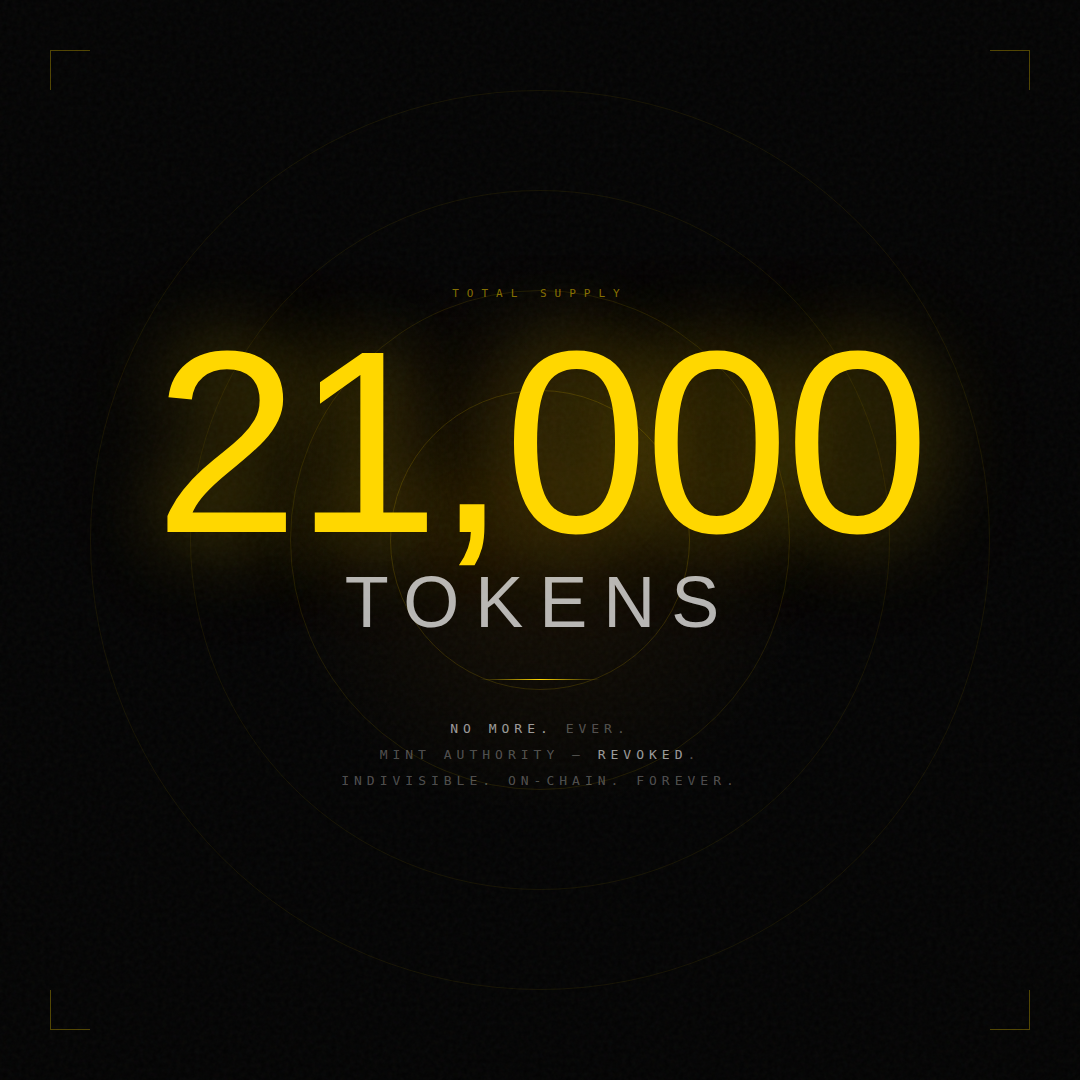 $21K — The Scarcest Token on Solana gallery image