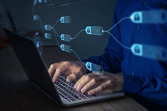 OpenetworK gallery image