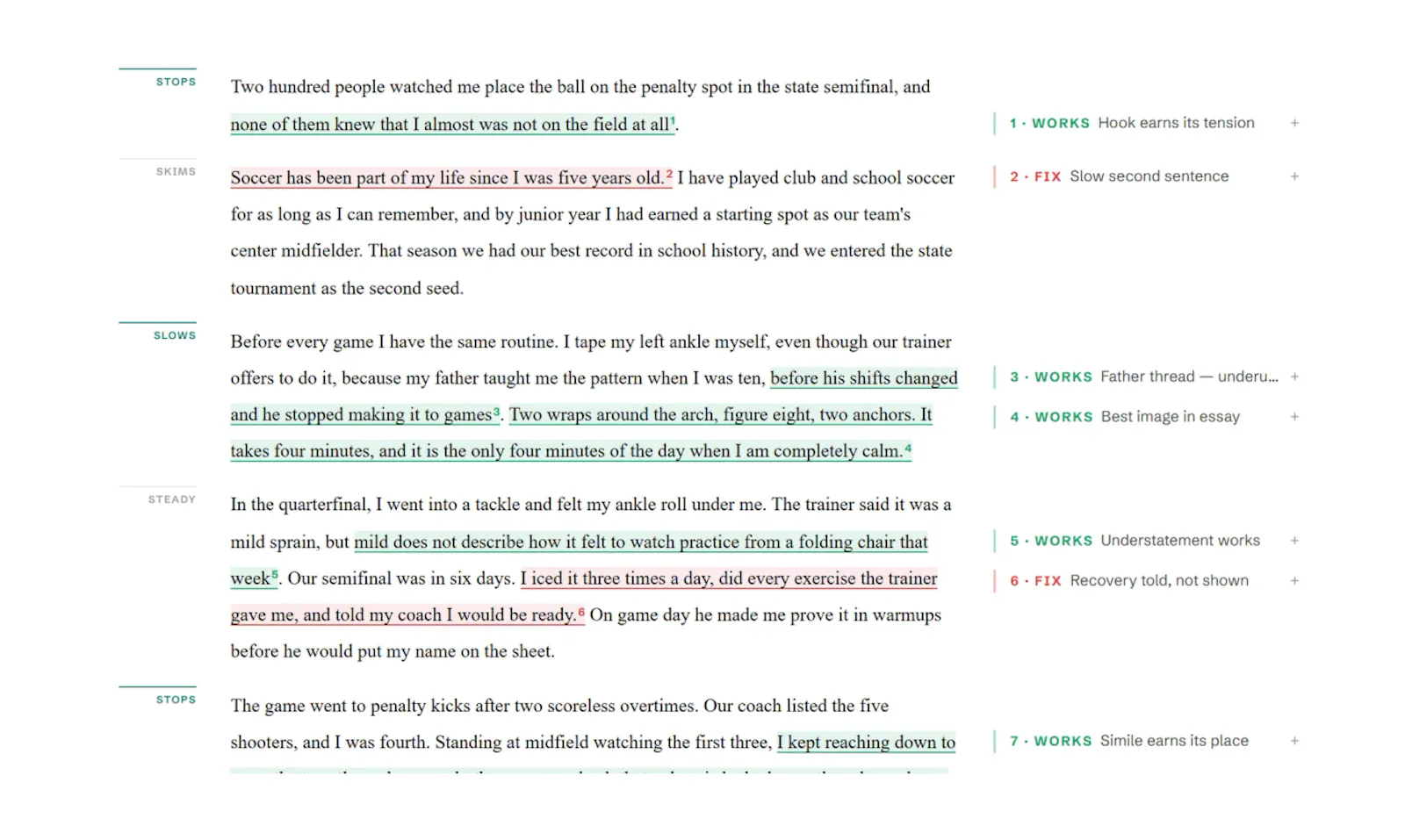 NudgeEssay screenshot 4