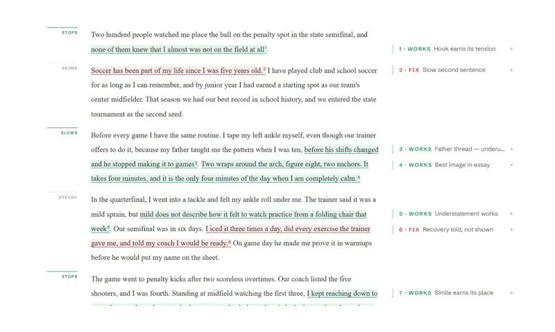 NudgeEssay screenshot 4