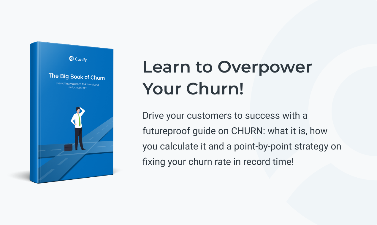 The Big Book of Churn gallery image