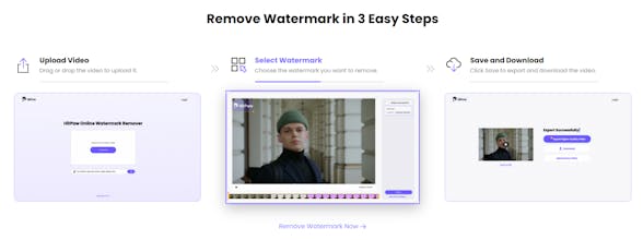 HitPaw Online Video Watermark Remover gallery image